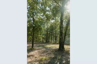 Lot 15 Private Road 5948, Yantis, TX 75497 - Photo 14