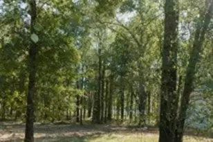 Lot 15 Private Road 5948, Yantis, TX 75497 - Photo 14