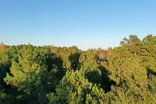 0 Co Rd 2117, Douglassville, TX 75560 - Photo 4