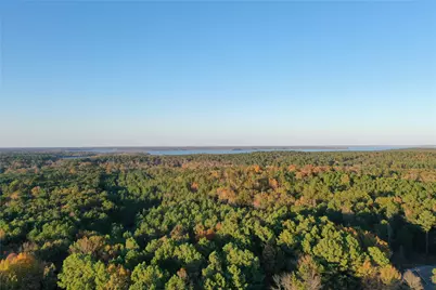 0 Co Rd 2117, Douglassville, TX 75560 - Photo 10