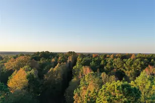 0 Co Rd 2117, Douglassville, TX 75560 - Photo 24