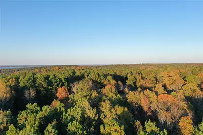 0 Co Rd 2117, Douglassville, TX 75560 - Photo 14