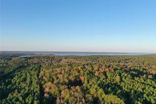 0 Co Rd 2117, Douglassville, TX 75560 - Photo 12