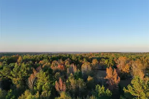 0 Co Rd 2117, Douglassville, TX 75560 - Photo 20