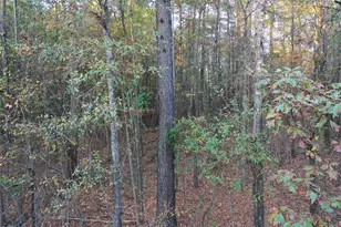 0 Co Rd 2117, Douglassville, TX 75560 - Photo 16