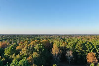 0 Co Rd 2117, Douglassville, TX 75560 - Photo 8