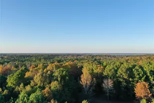 0 Co Rd 2117, Douglassville, TX 75560 - Photo 8