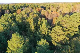 0 Co Rd 2117, Douglassville, TX 75560 - Photo 6