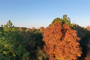 0 Co Rd 2117, Douglassville, TX 75560 - Photo 18