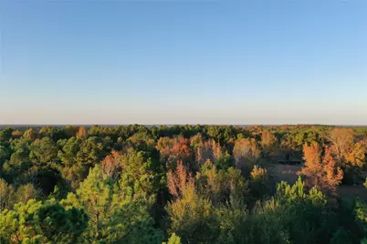 0 Co Rd 2117, Douglassville, TX 75560 - Photo 22