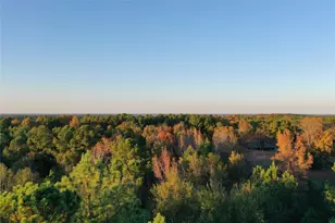 0 Co Rd 2117, Douglassville, TX 75560 - Photo 22