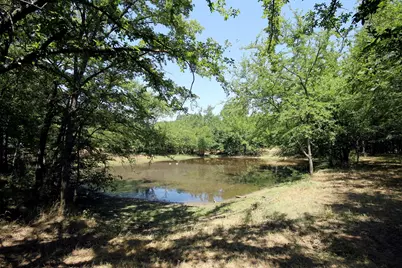 16.72Ac Joe Allen Road, Pilot Point, TX 76258 - Photo 8