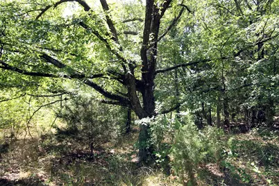 16.72Ac Joe Allen Road, Pilot Point, TX 76258 - Photo 14