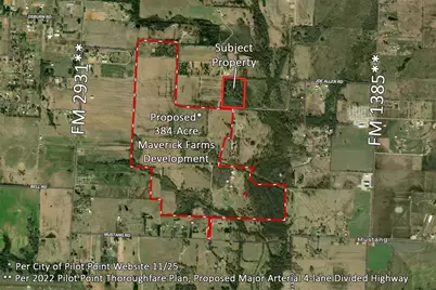 16.72Ac Joe Allen Road, Pilot Point, TX 76258 - Photo 16