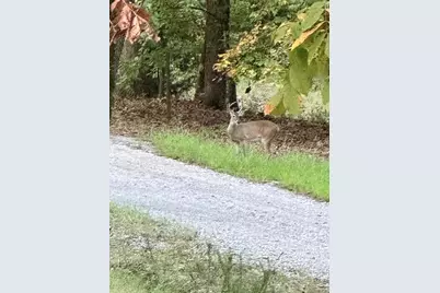 331 Private Road 5387, Yantis, TX 75497 - Photo 30