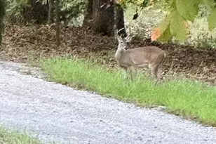 331 Private Rd 5387, Yantis, TX 75497 - Photo 30