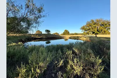 14114 Howard Lake Court, Lipan, TX 76462 - Photo 36