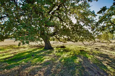 14114 Howard Lake Court, Lipan, TX 76462 - Photo 8