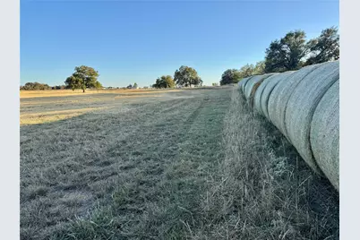 14114 Howard Lake Court, Lipan, TX 76462 - Photo 40