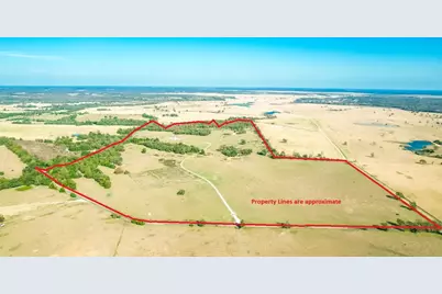 0000 Cr 781, Donie, TX 75838 - Photo 2