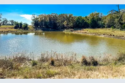 0000 Cr 781, Donie, TX 75838 - Photo 10