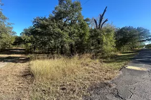 0 Boca-Chica, Malakoff, TX 75148 - Photo 8