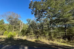 0 Boca-Chica, Malakoff, TX 75148 - Photo 10