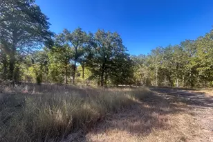 0 Boca-Chica, Malakoff, TX 75148 - Photo 6