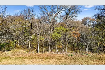 Tbd E Bells Boulevard, Bells, TX 75414 - Photo 14