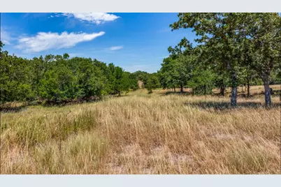 271 Creek Meadow Court, Lipan, TX 76462 - Photo 6