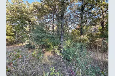 134 Thrush Road, Mabank, TX 75156 - Photo 10