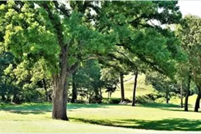 33 Palisades Lane, Gordonville, TX 76245 - Photo 6