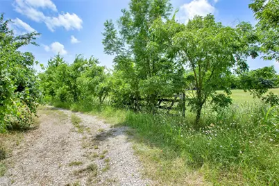 491 Morrison Road, Howe, TX 75459 - Photo 12