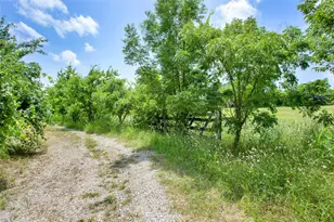 491 Morrison Rd, Howe, TX 75459 - Photo 12