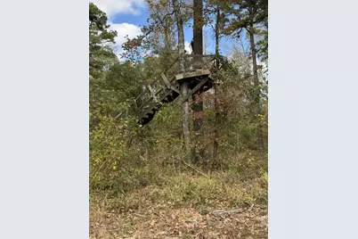 Tbd Stag Road, Gilmer, TX 75644 - Photo 10