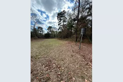 Tbd Stag Road, Gilmer, TX 75644 - Photo 30