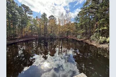 Tbd Stag Road, Gilmer, TX 75644 - Photo 26