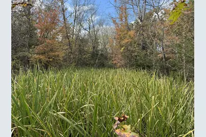 Tbd Stag Road, Gilmer, TX 75644 - Photo 12