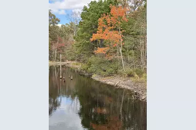 Tbd Stag Road, Gilmer, TX 75644 - Photo 8