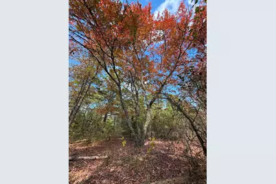 Tbd Stag Road, Gilmer, TX 75644 - Photo 28