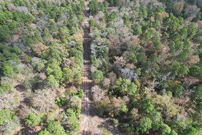 Tbd Stag Road, Gilmer, TX 75644 - Photo 14