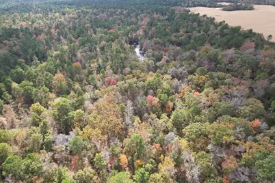 Tbd Stag Road, Gilmer, TX 75644 - Photo 16