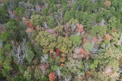 Tbd Stag Road, Gilmer, TX 75644 - Photo 22