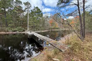 Tbd Stag Rd, Gilmer, TX 75644 - Photo 1