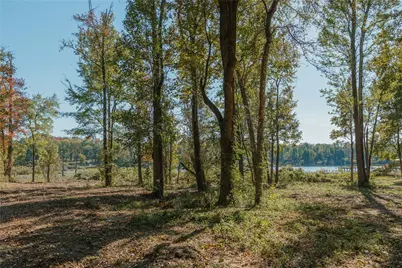 Lot 16 Private Road 5948, Yantis, TX 75497 - Photo 2
