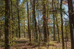 Lot 16 Private Road 5948, Yantis, TX 75497 - Photo 4