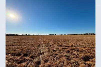 000 Fm 1653, Ben Wheeler, TX 75754 - Photo 12