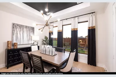 16725 Freshwater Drive, Celina, TX 75009 - Photo 12