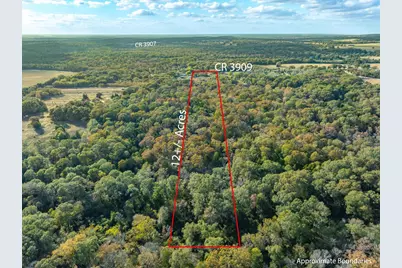 9722 County Road 3909, Athens, TX 75752 - Photo 2