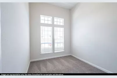 5901 Maddie Ann Drive, Celina, TX 75009 - Photo 10